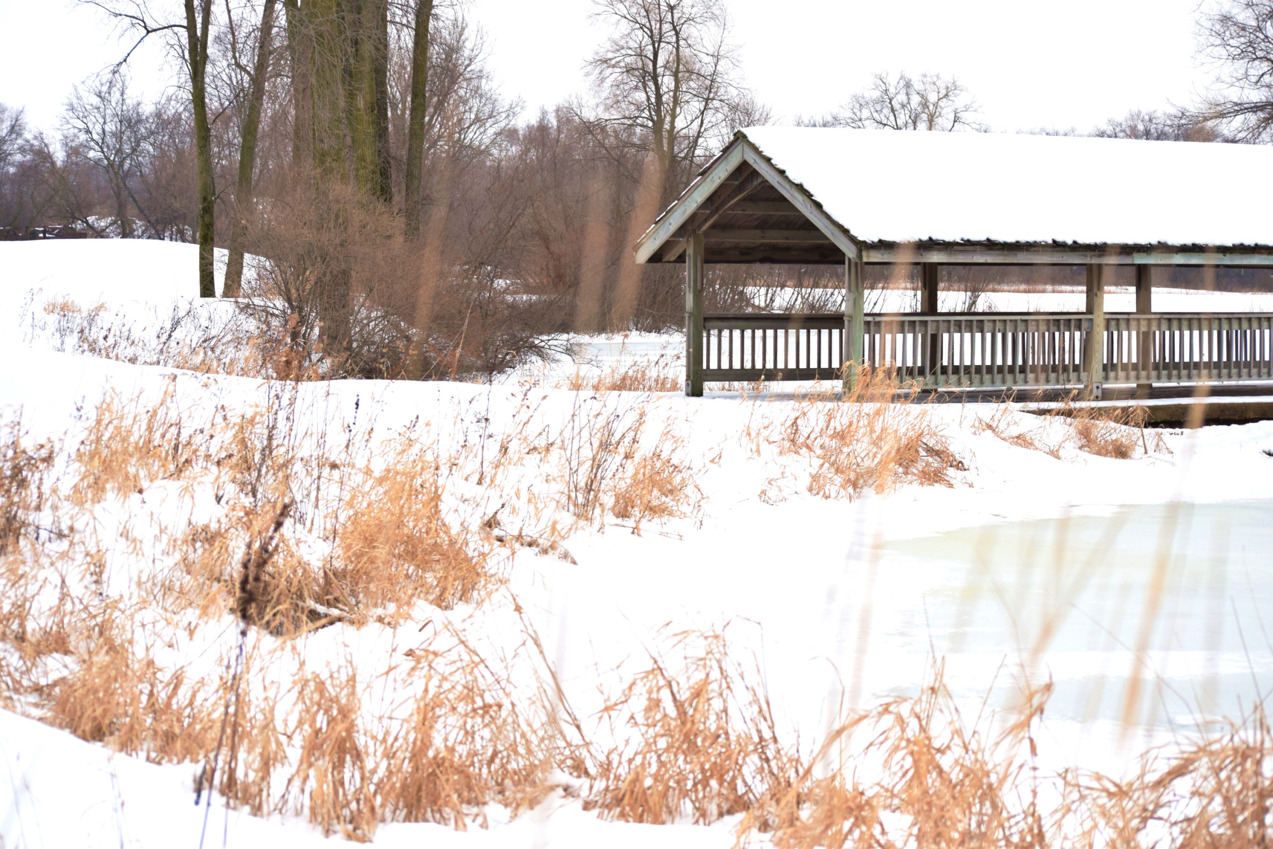 Wisconsin_WinterPhotography