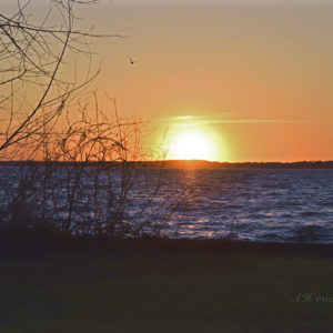 Spring Sunset 2020