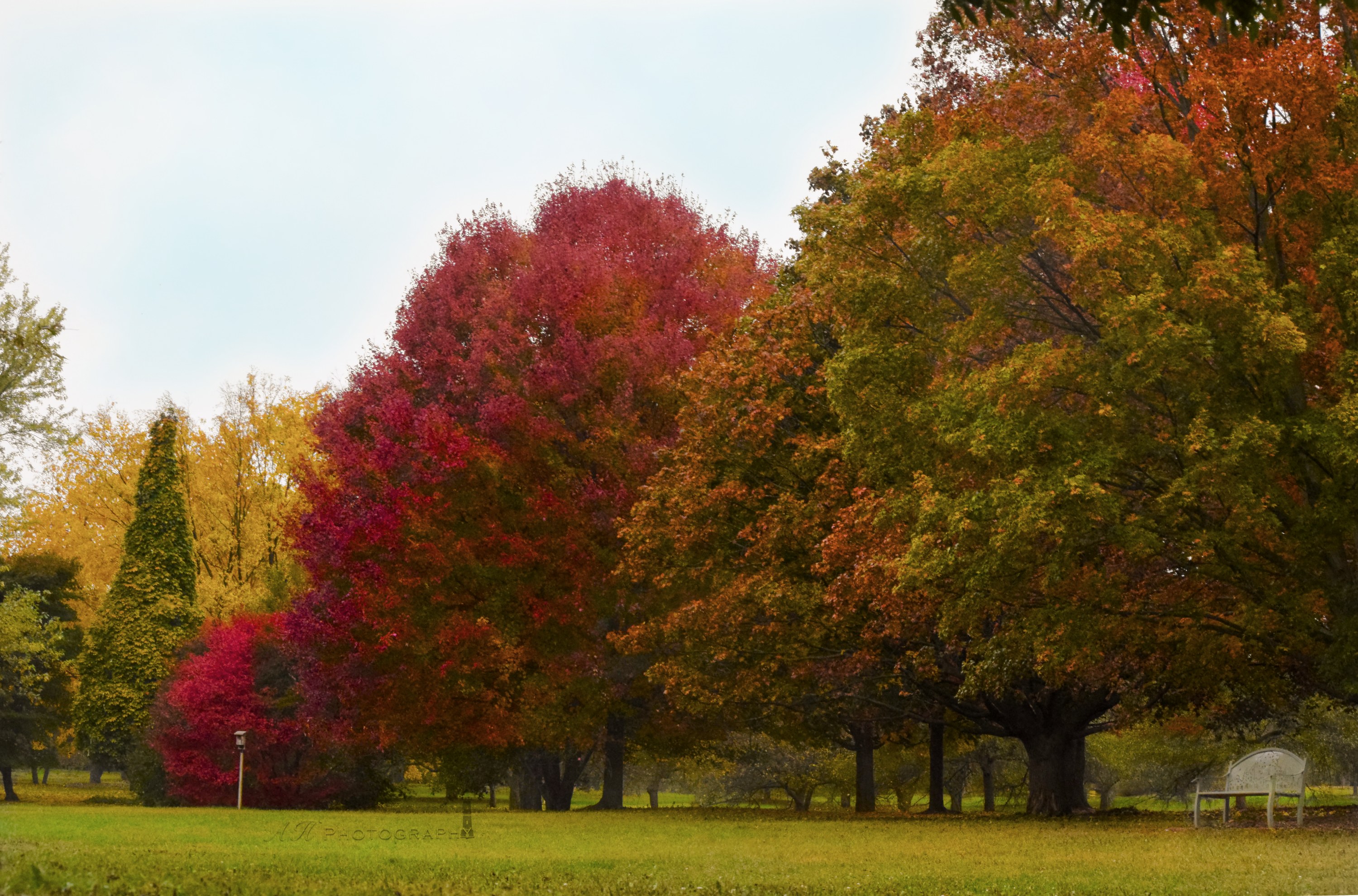 Fall Photo